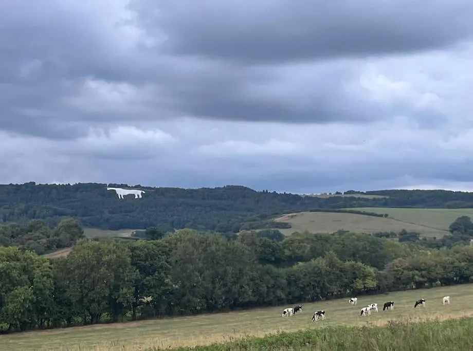 Twattleton Cottage Kilburn Yorkshire - Beautiful Views Reino Unido
